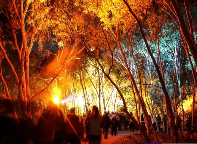 DADAA | Incite Arts Unbroken Land 2015. Photo: Olive Eclipse, Red Hot Arts Central Australia